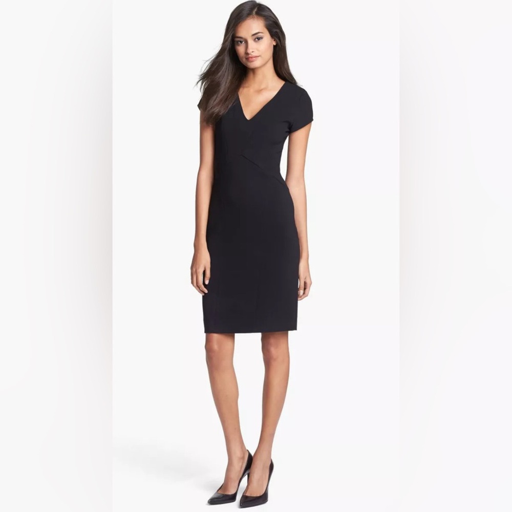 Diane von Furstenberg Norma Pencil Dress (8)